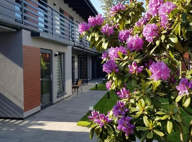 Apartment Azalia Leba