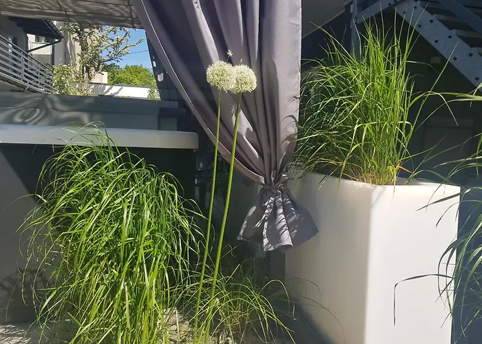 Apartment Azalia Leba